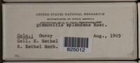 Image Associated With the Occurence